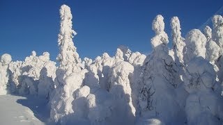 Южный Урал_83. Заповедники и Национальные парки Южного Урала.