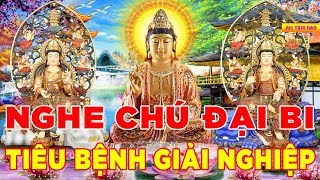 Nghe Tụng Kinh Chú Đại Bi 21 Biến Tiêu Bệnh Giải Nghiệp Sức Khỏe Dồi Dào Vận May Tự Đến -An Tịnh Đạo