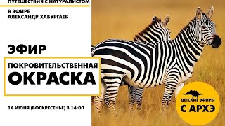Детский эфир "Покровительственная окраска" в рамках рубрики "Путешествия с натуралистом"