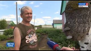 Вести. Киров (Россия-24) 25.06.2019(ГТРК Вятка)
