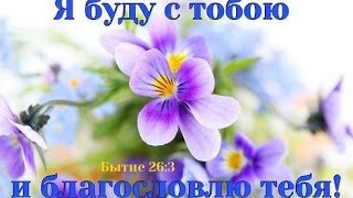К небу взор я возношу
