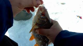 Эта рыба рвёт мормышки!!!Рыбалка на безмотылку.