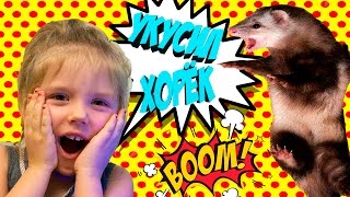 УКУСИЛ ХОРЁК/ Едем в гости к крестной