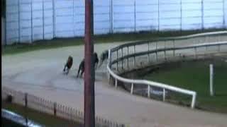 IGB - The Bet On The Tote  20/11/2019 Race 9 - Curraheen Park