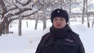 Спасение лося из ловушки