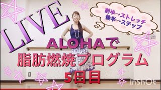 #236LIVE?ALOHAで脂肪燃焼プログラム✨5日目?フラエクササイズ(前半はチューブストレッチ&後半はステップで脂肪燃焼)?フラ初心者向け?Mio-STYLE?