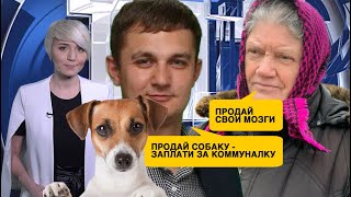 Продай собаку – заплати за коммуналку, а на старость копи сам – у правительства нет возможности