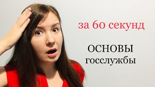 ОСНОВЫ государственной гражданской службы | 79-ФЗ | Разделение ГГС