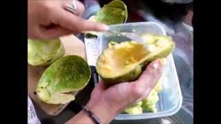 Avocado with Condensed Milk - Filipino Sweet Dessert (Frozen or Chilled)