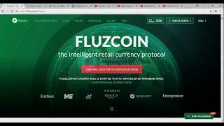 FLUZCOIN ICO REVIEW