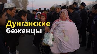 Дунганские беженцы