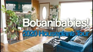 Houseplant Tour Update 2020 Part 1 of 3 | Botanibabies