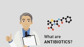 What are antibiotics? How do antibiotics work?