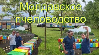 На пасеке Андрея Бодина (Молдова)