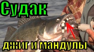Ловля судака на водохранилище.Судак на джиг и мандулы