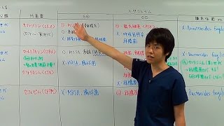 03.抗菌薬はじめからていねいに【各論前半】- 米内竜の迷走録