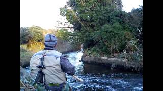 Drennan Red Range Float Rod 13 Ft (In Action)