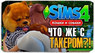 ЧТО СЛУЧИЛОСЬ С ТАКЕРОМ?! - The Sims 4 "Кошки и Собаки" ▮