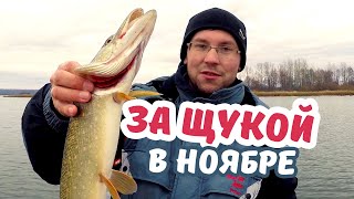 По осени ЗДЕСЬ ЛОВЯТ ЩУК МОНСТРОВ. Рыбалка на слиянии Суры и Волги
