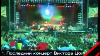 Матадор (ЦТ, 1991). Трагическая гибель Виктора Цоя.