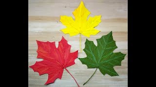 How to make Crepe paper Autumn Maple Leaf (flower # 283)