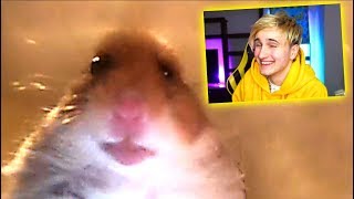 НЕ ЗАСМЕЙСЯ CHALLENGE ? ЗАСМЕЙСЯ ЧЕЛЛЕНДЖ ? ПОПРОБУЙ НЕ ЗАСМЕЯТСЯ ЧЕЛЕНДЖ