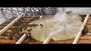 подкормка пчел ( часть 1 )