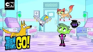 Beast Boy Blood Brothers I Teen Titans Go! I Cartoon Network