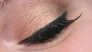 Neutral Schimmer Look