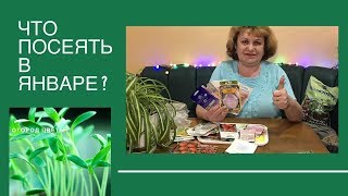 ЧТО ПОСЕЯТЬ В ЯНВАРЕ 2020??? Посев Семян на РАССАДУ! НАСТУПИЛ ПОСАДОЧНЫЙ СЕЗОН! Марина Цветы
