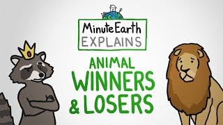 MinuteEarth Explains: Animal Winners and Losers