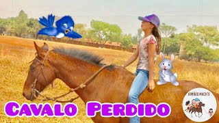 Procurando o Cavalo Perdido no Mundo da Fantasia - Aventuras com os Irmãos Mach´s