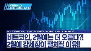 [위클리 블록체인] 차트편 - 비트코인, 2월엔 무조건 오른다! 그 이유는?!
