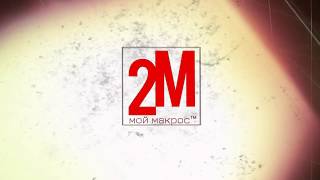 ✔ ВАРФЭЙС макрос М4А1 Буран ★ WARFACE macro M4A1 Winter ★ Ultra Bloody X7 makro ★ Ультра мягкий