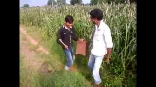 Indian Guys Funniest Dance on Gujarati Song in Farm