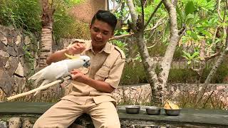 SI OTAN | SI LEMAH DAN SI KUAT (11/02/19) PART 3