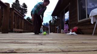 West Siberian Laika (западно-сибирская лайка) Puppy 4