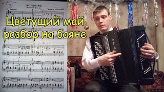 Цветущий май разбор на баяне. Урок#71