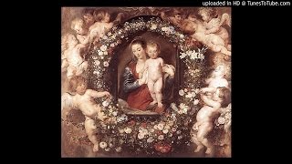 Bach -  Concerto for 3 Violins and Orchestra, BWV 1064