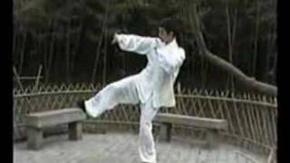 陳式太極拳発勁練習/Chen Style fajin practice