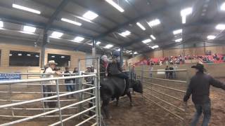 The Ultimate Cowboy Clinic & Event UK