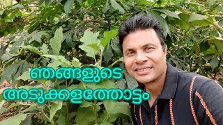 Njangalude Adukkala Thottam/Kitchen Garden