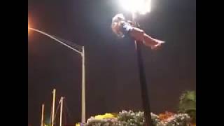 Спортивные девушки прекрасны Женщины произошли от обезьян Девушка и столб ПОВТОРИ прикол юмор
