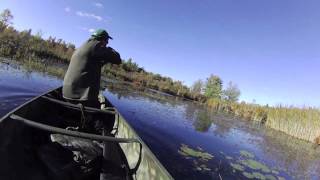 Jump Shooting Wood ducks!