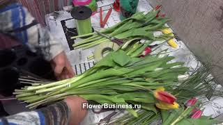 Букет из тюльпанов на 8 марта