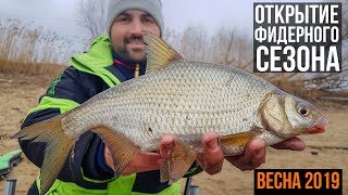Открытие фидерного сезона 2019. Москва-река дарит подарки! Леонидыч на рыбалке.