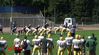 2013-07-22 AFC Amboss Remscheid - Cologne Crocodiles