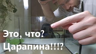 Как подобрать аквариум и не купить с трещиной или царапиной