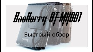 Быстрый обзор мужского кошелька Baellerry (BT-MK001)