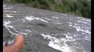 Водный поход по рекам Синюха и Южный буг, день 7